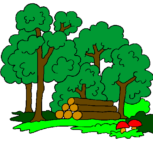 outdoor school